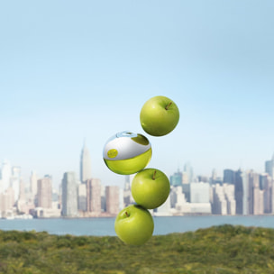 Be Delicious - Eau de Parfum