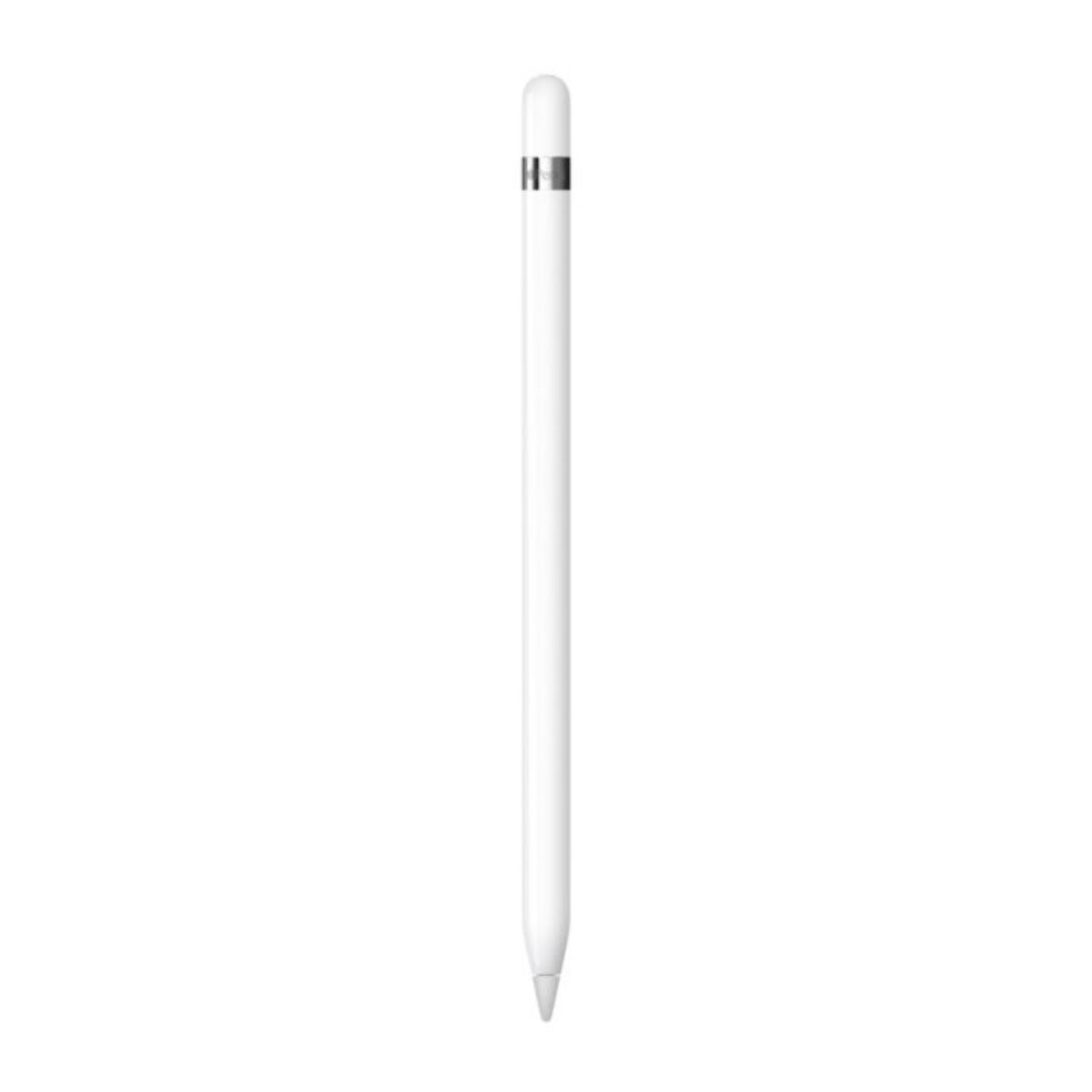 Stylet APPLE Pencil 1ère Génération + adaptateur USB-C