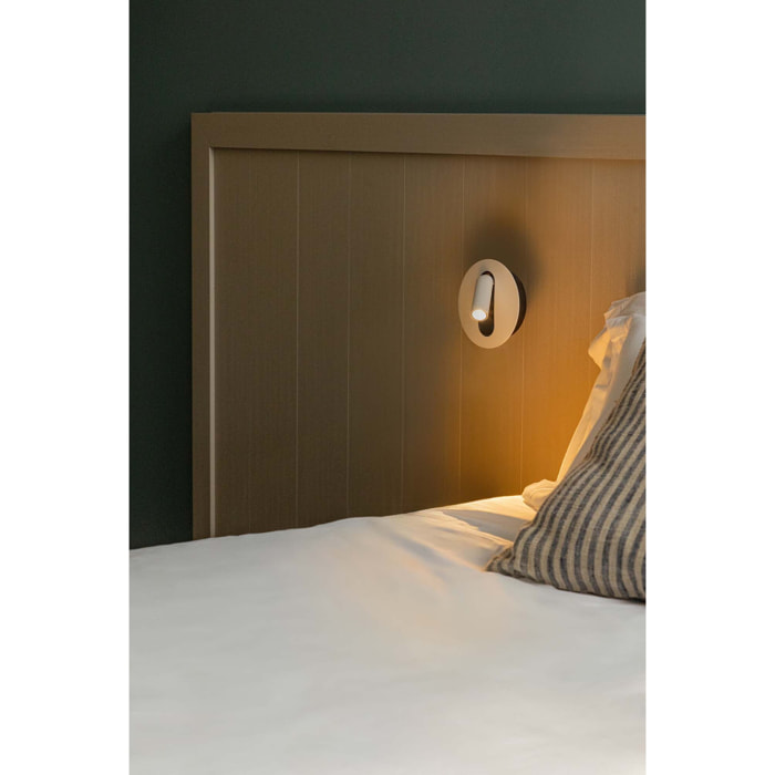 TIMIT Aplique lector blanco