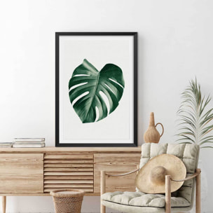 Affiche  monstera perfect Affiche sous cadre noir