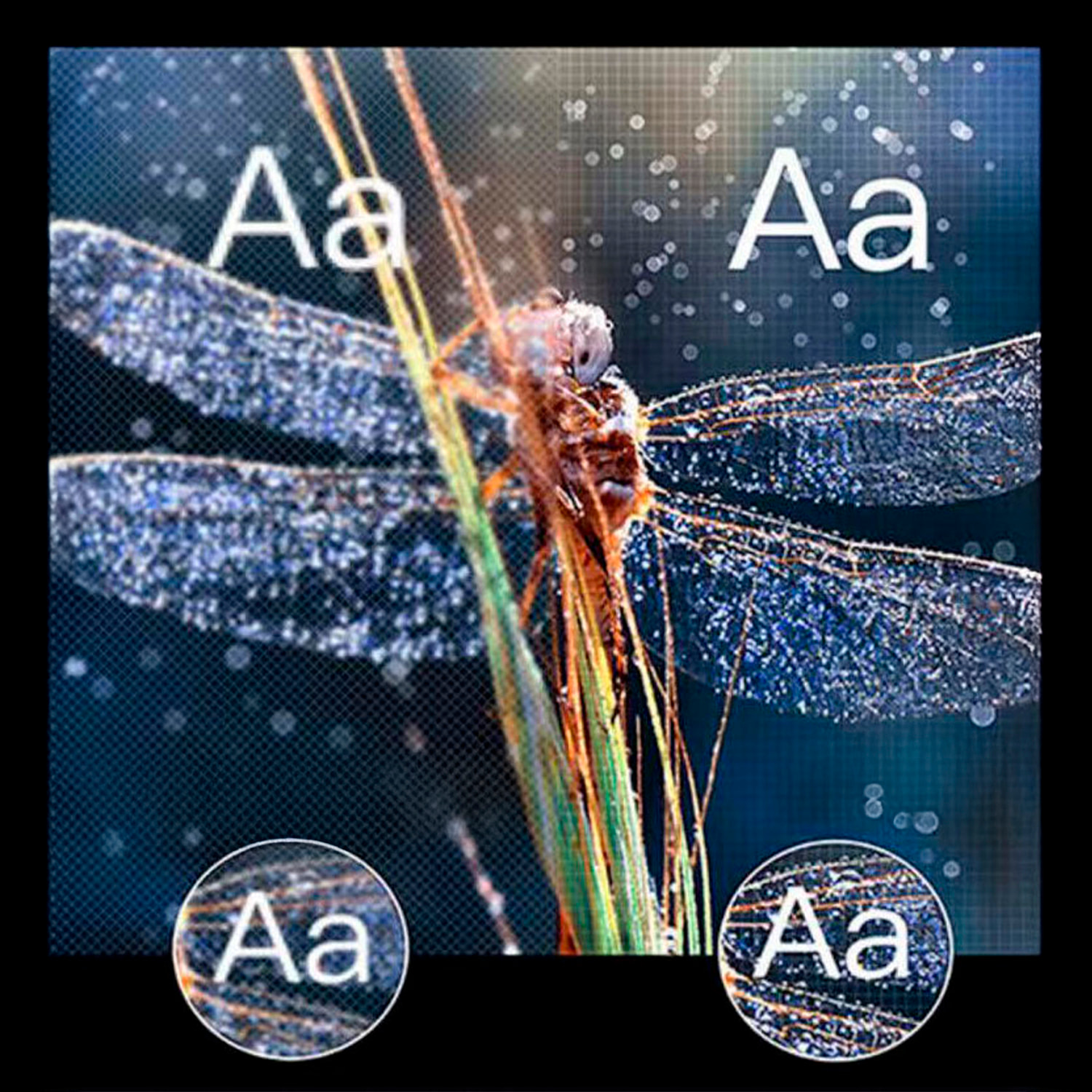 Mini proyector LCD Wifi H1, duplicación de pantalla para iOS y Android. Conexión USB. De 30 a 200 pulgadas, 120 lm, 2000:1. Con mando a distancia.