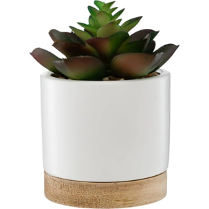 Succulente artificielle pot céramique H12cm