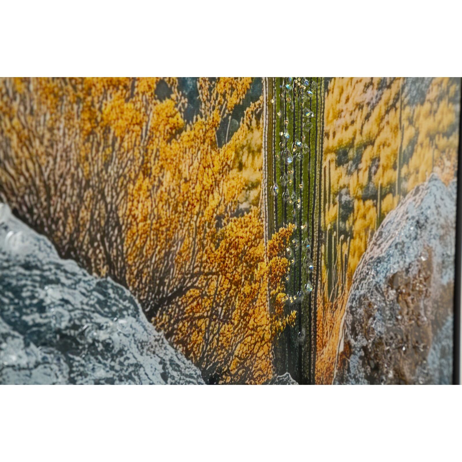 STAMPA SU TELA LACCATA C/CORNICE CACTUS -B- CM 60X4X90