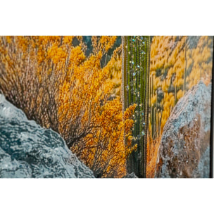 STAMPA SU TELA LACCATA C/CORNICE CACTUS -B- CM 60X4X90