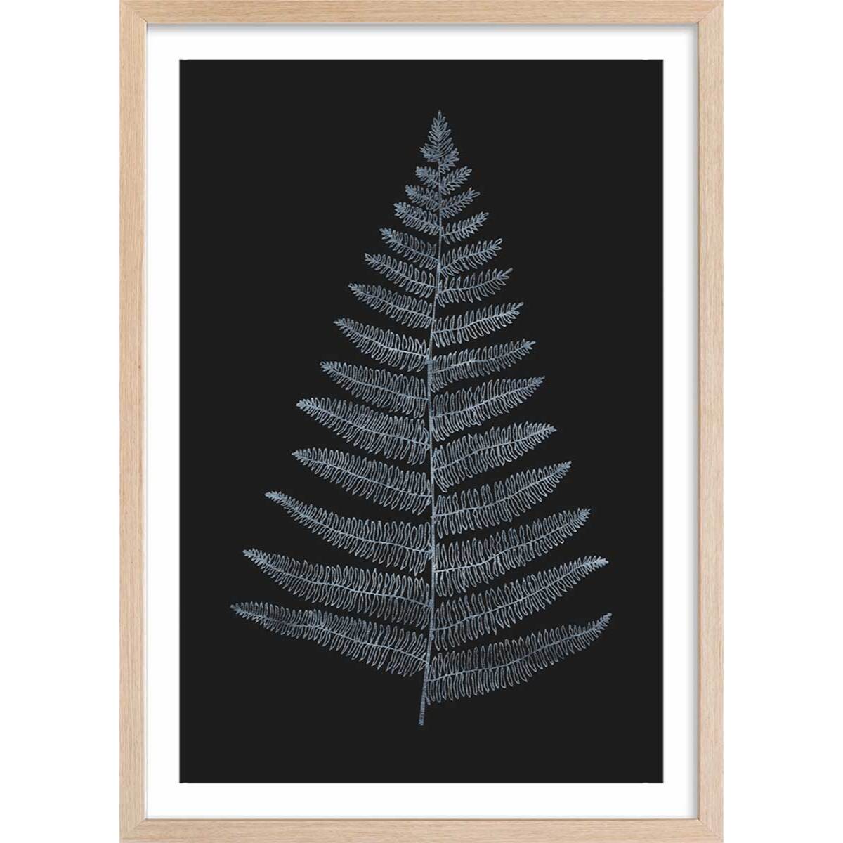 Poster fougère royale blanche Affiche + cadre en bois - Chêne