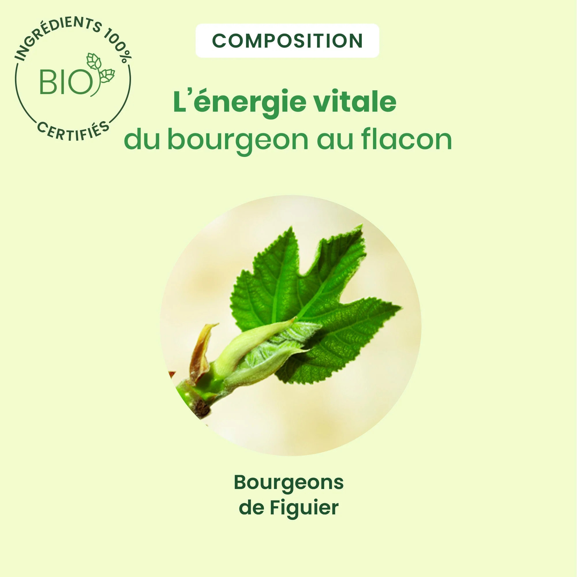 Herbalgem- Bourgeon de figuier - Bio - 30 ml