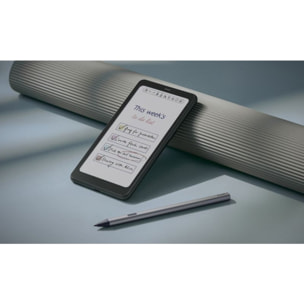 Liseuse eBook BOOX Palma 2 Pro Blanc