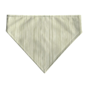 Pack de 2 bandanas pour animaux Lesa Desert Sage