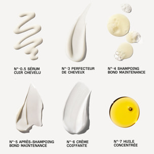 Trousse de Brillance Édition Limitée - Coffret de 6 Produits pour Soigner, Laver et Sublimer ses Cheveux