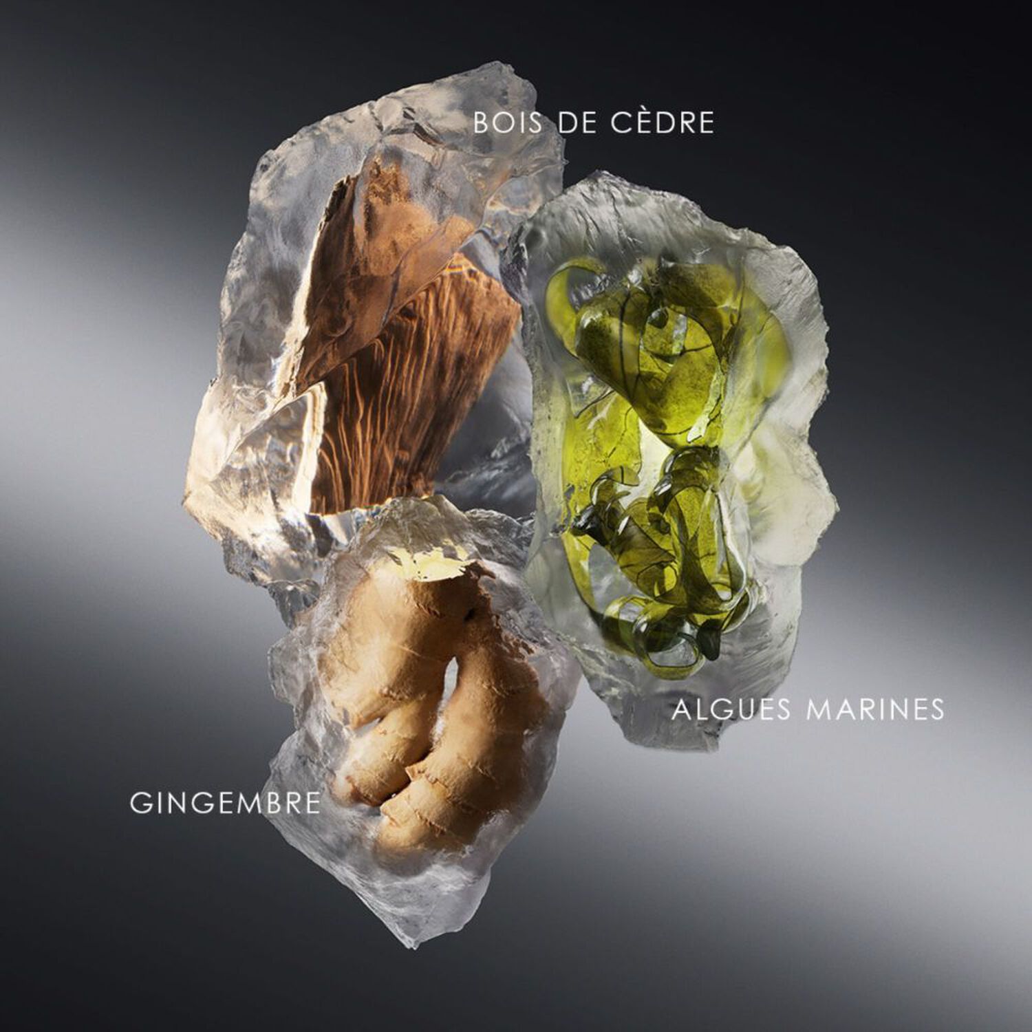 Le Sel D'Issey - Recharge Eau de Toilette