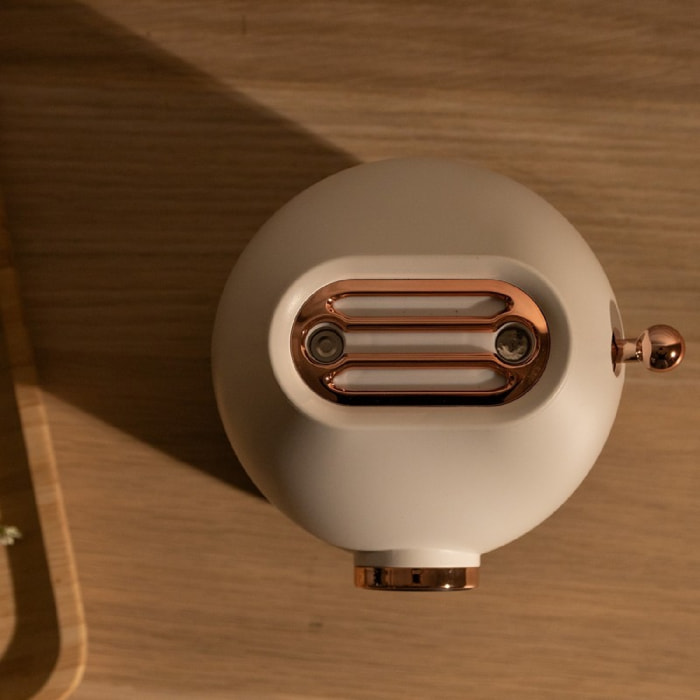 Cecotec Umidificatore PureAroma 550 Cordless