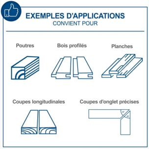 Scie circulaire sur table HS100S - Puissance 2000 W - Lame Ø 250 x 30 mm - Hauteur de coupe max 85 mm - Dimensions de la table 940 x 642 mm - SCHEPPACH - 5901310901