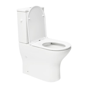 Brevis Combi WC à poser sans bride en céramique compatible PMR avec abattant SoftClose, blanc (SATBRE033RREXVPP)