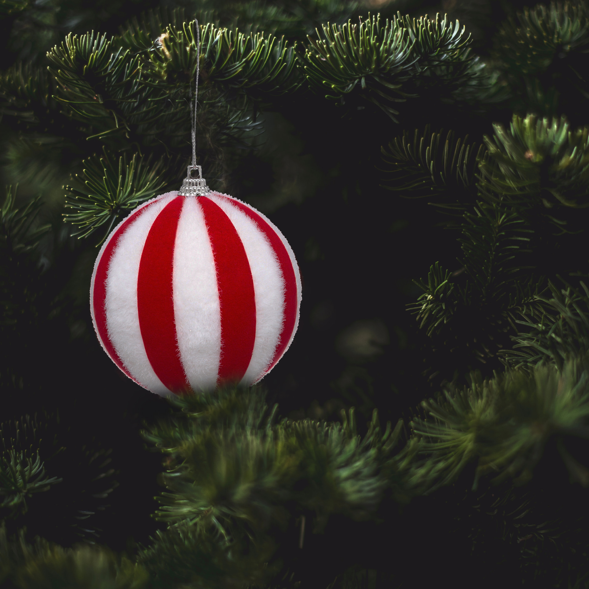 Bola de navidad de rayada roja y blanca de  plástico