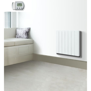 Radiateur inertie ceramique 1500w