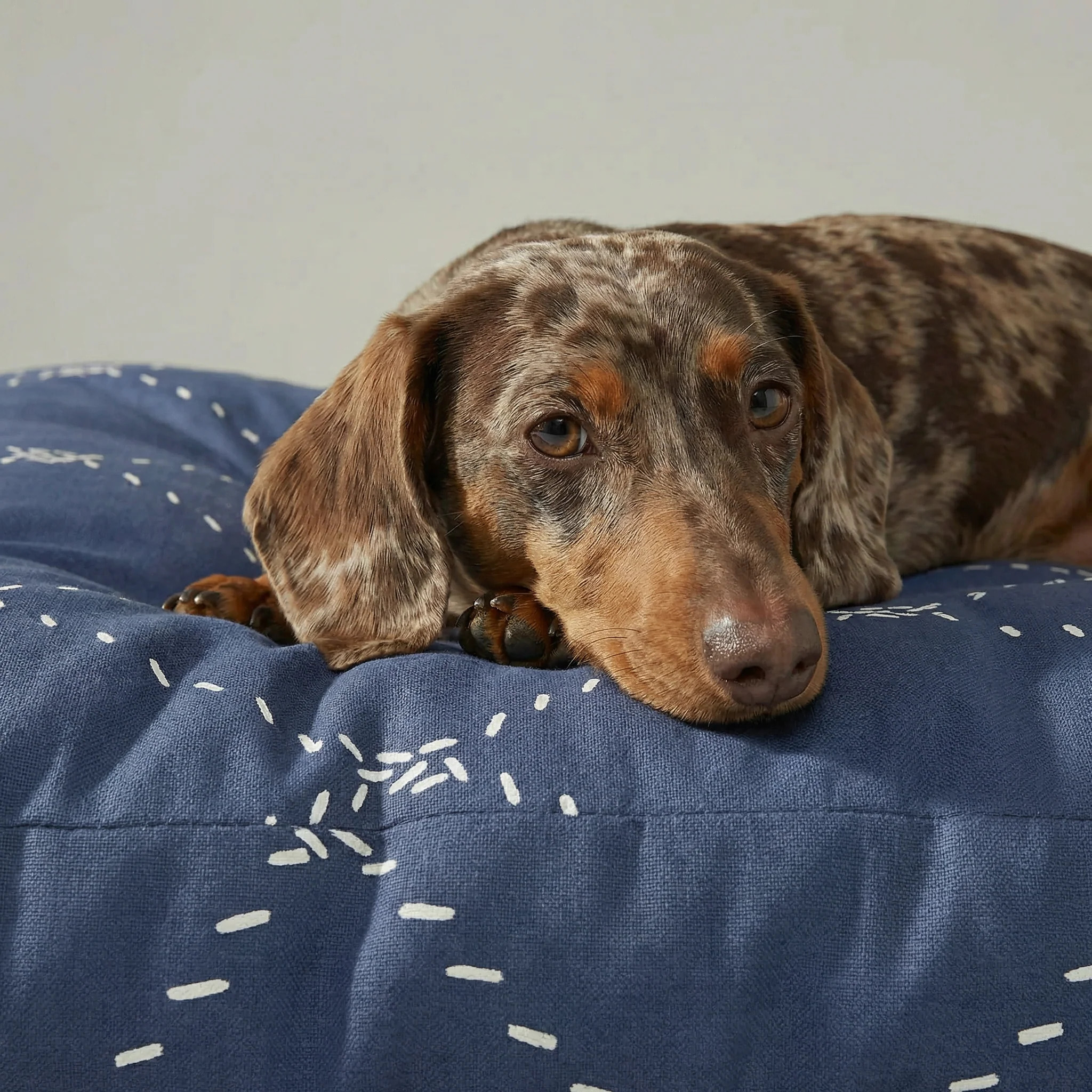 Lit pour animaux antitaches Benicassim Marine