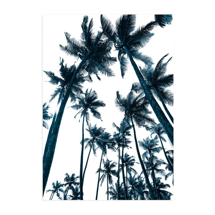 Poster Blue Palms