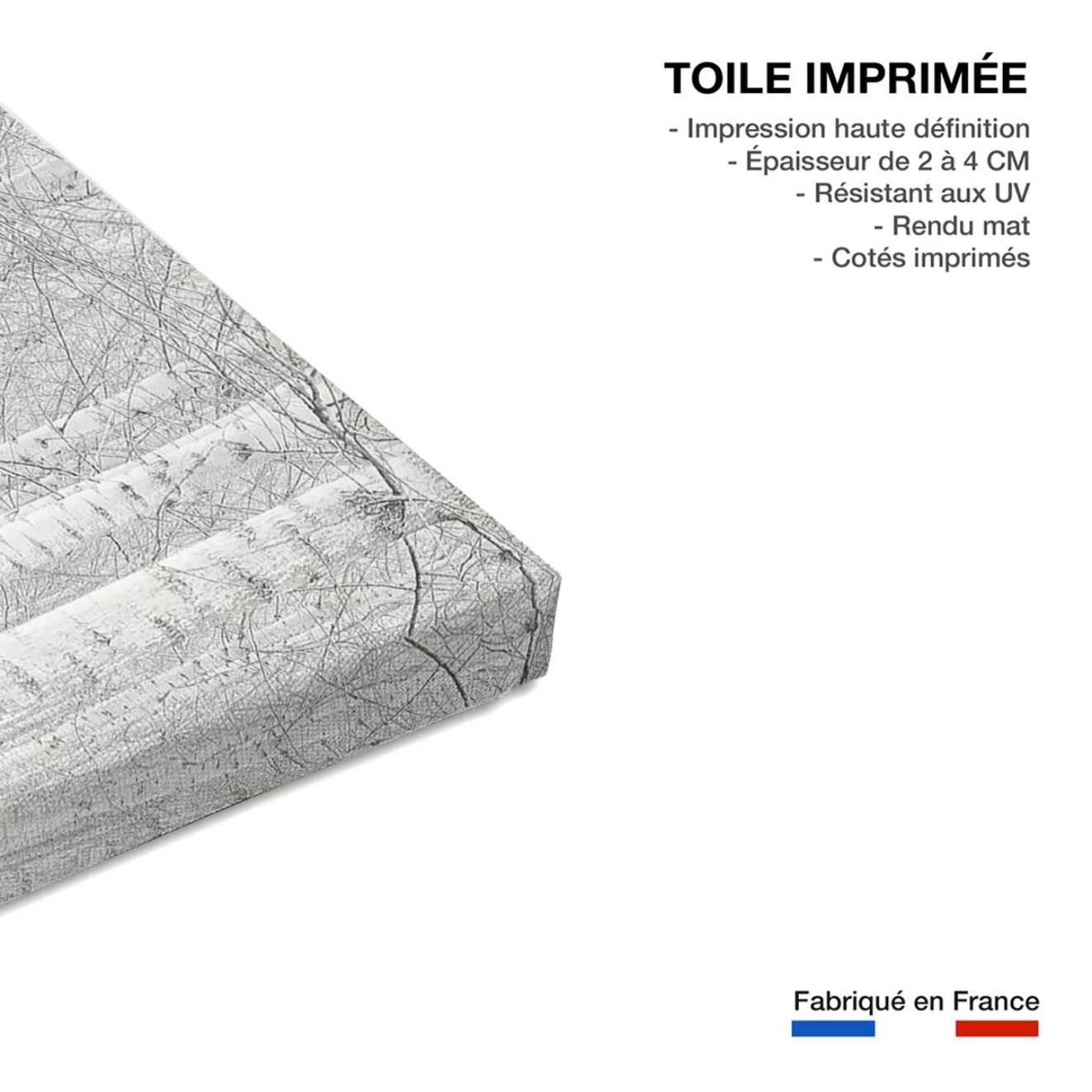 Tableau nature perspective trees Toile imprimée