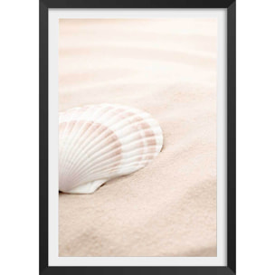 Poster coquillage Affiche + cadre en bois - Noir