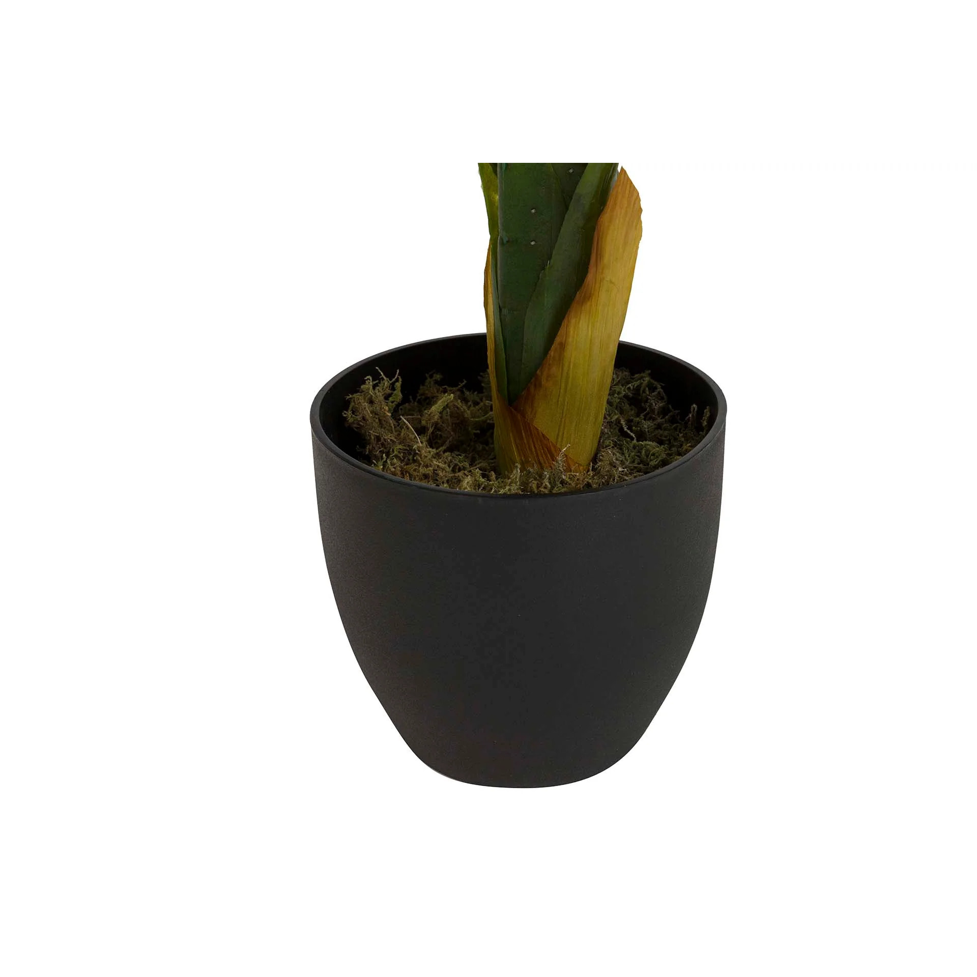 Planta Artificial Dieffenbachia Dotied Con Maceta 60x60x90 Cm