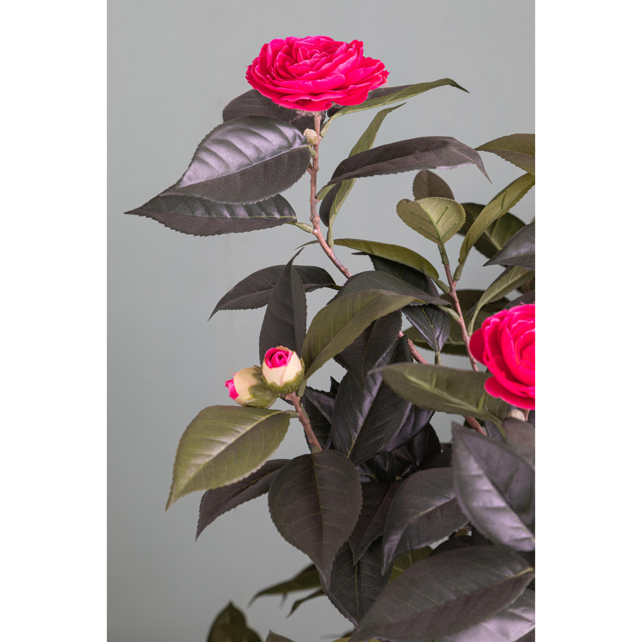 Albero Di Camelia Con 678 Foglie E 28 Fiori. Altezza 143 Cm - Pezzi 1 - 80X143X80cm - Colore: Rosa - Bianchi Dino - Piante Artificiali