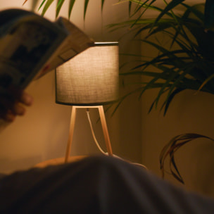 Forlight NUTS - Lámpara de Mesa de Estilo Nórdico. Para Mesita de Noche de Madera Natural y Textil de Color Gris. E27