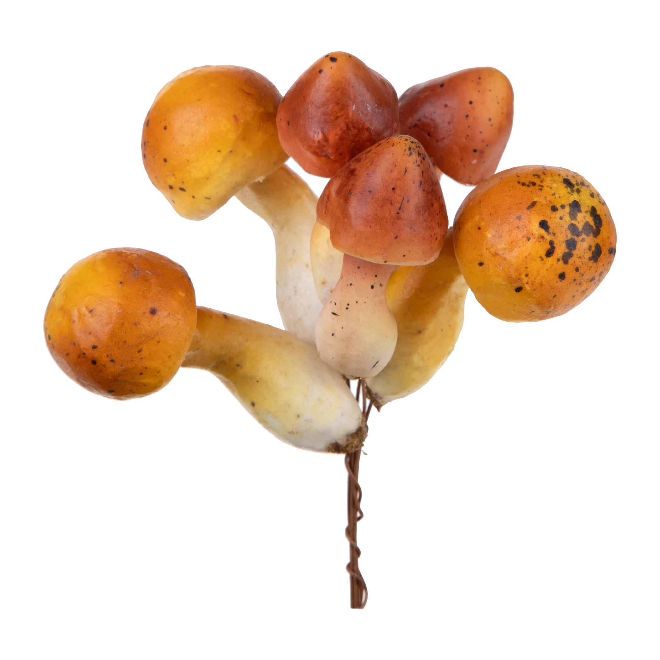 Pick funghetti - Pezzi 12 - 5xH12x4cm - Bianchi Dino SpA