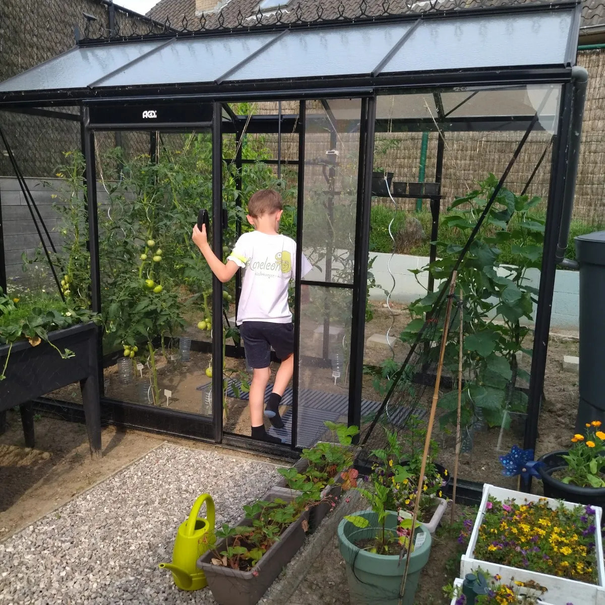 Serre en verre PICCOLO - 4,74 m2