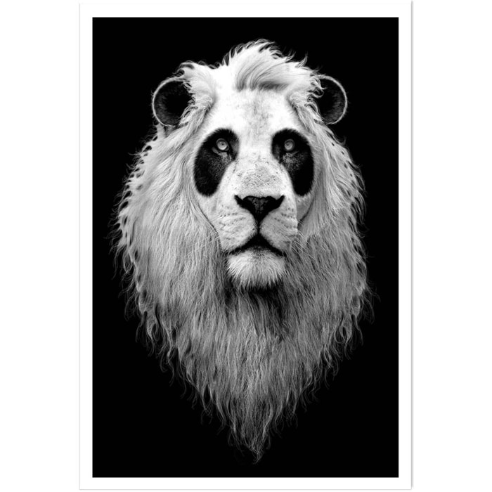 Affiche enfant le pandalion  Affiche seule