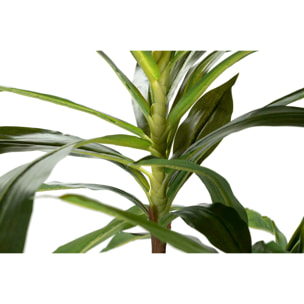 Planta Fragancias Dracaena 70x70x160 Cm