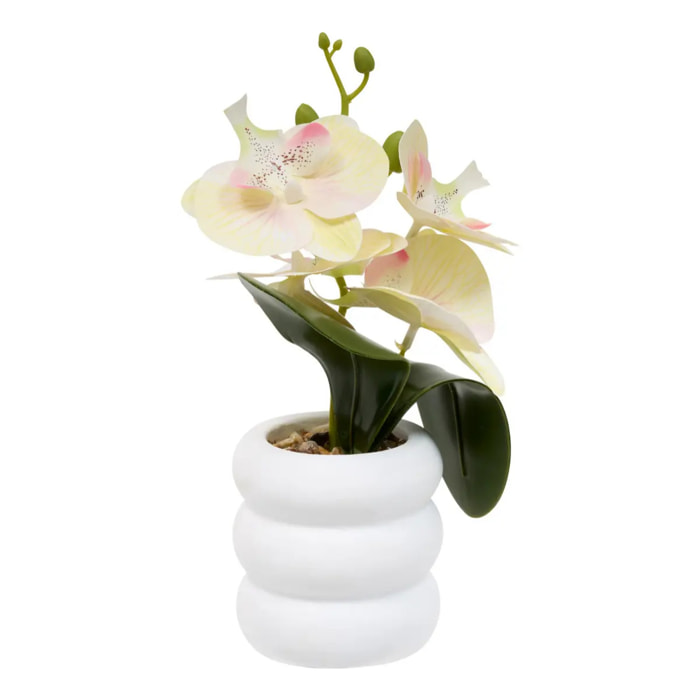 Fleur Artificielle Mick Orchidée H 23 cm