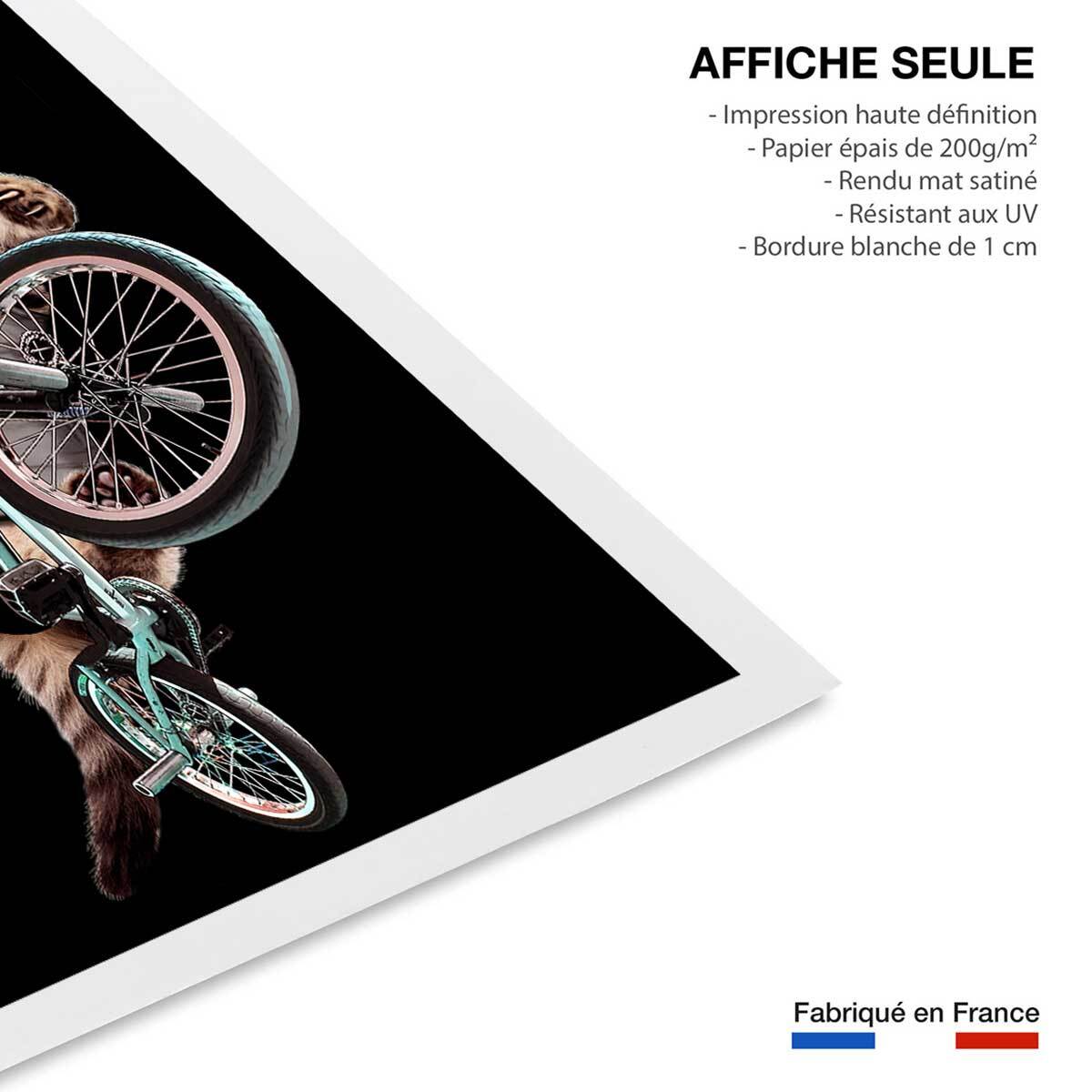 Affiche enfant bmx chat  Affiche seule