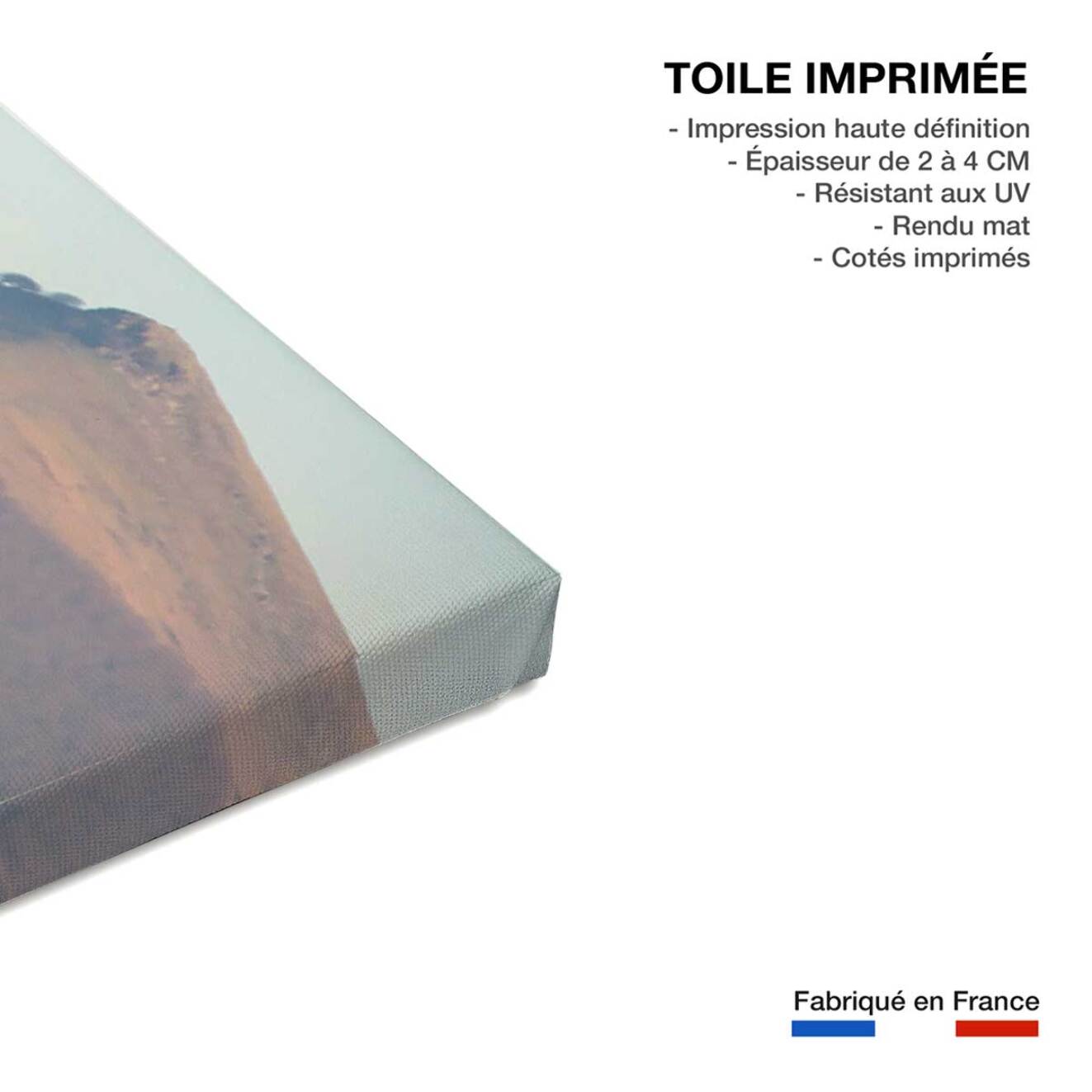 Tableau chevaux pottok  Toile imprimée