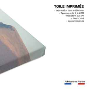 Tableau chevaux pottok  Toile imprimée