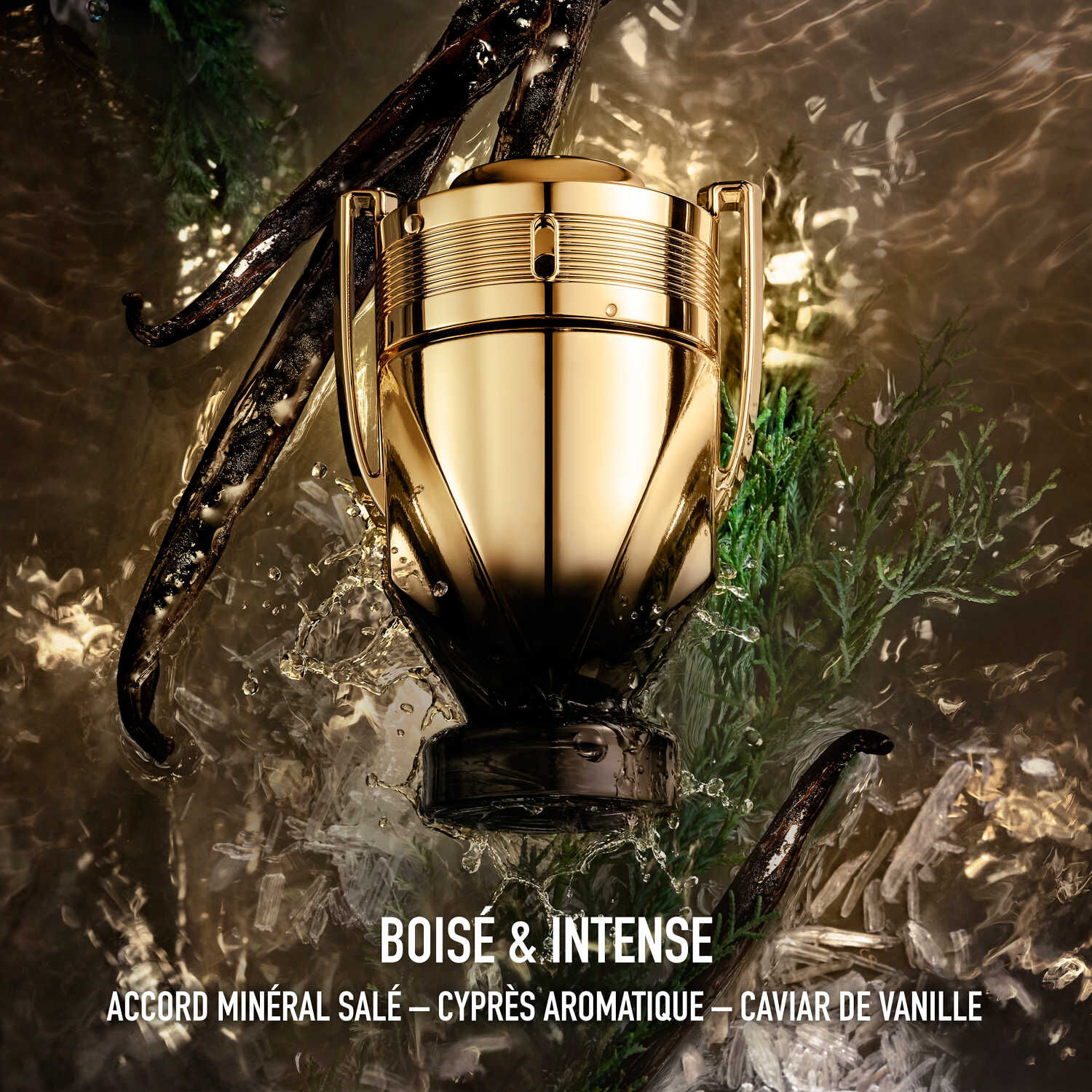Invictus Elixir - Parfum Elixir