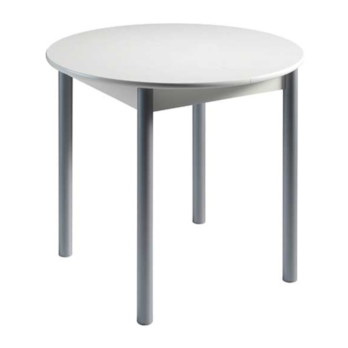 Mesa extensible circular