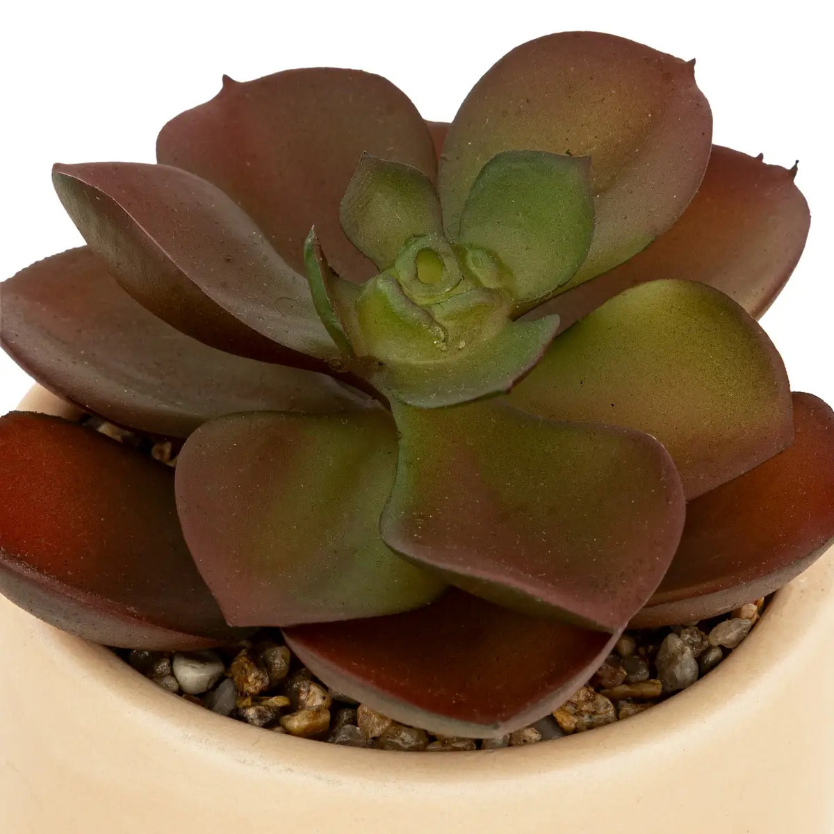 Plante grasse artificielle Nils pot céramique H12cm