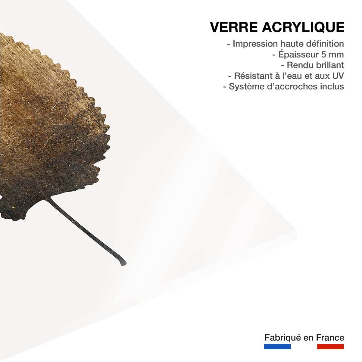 Tableau feuille sauvage dorée Tableau plexiglas