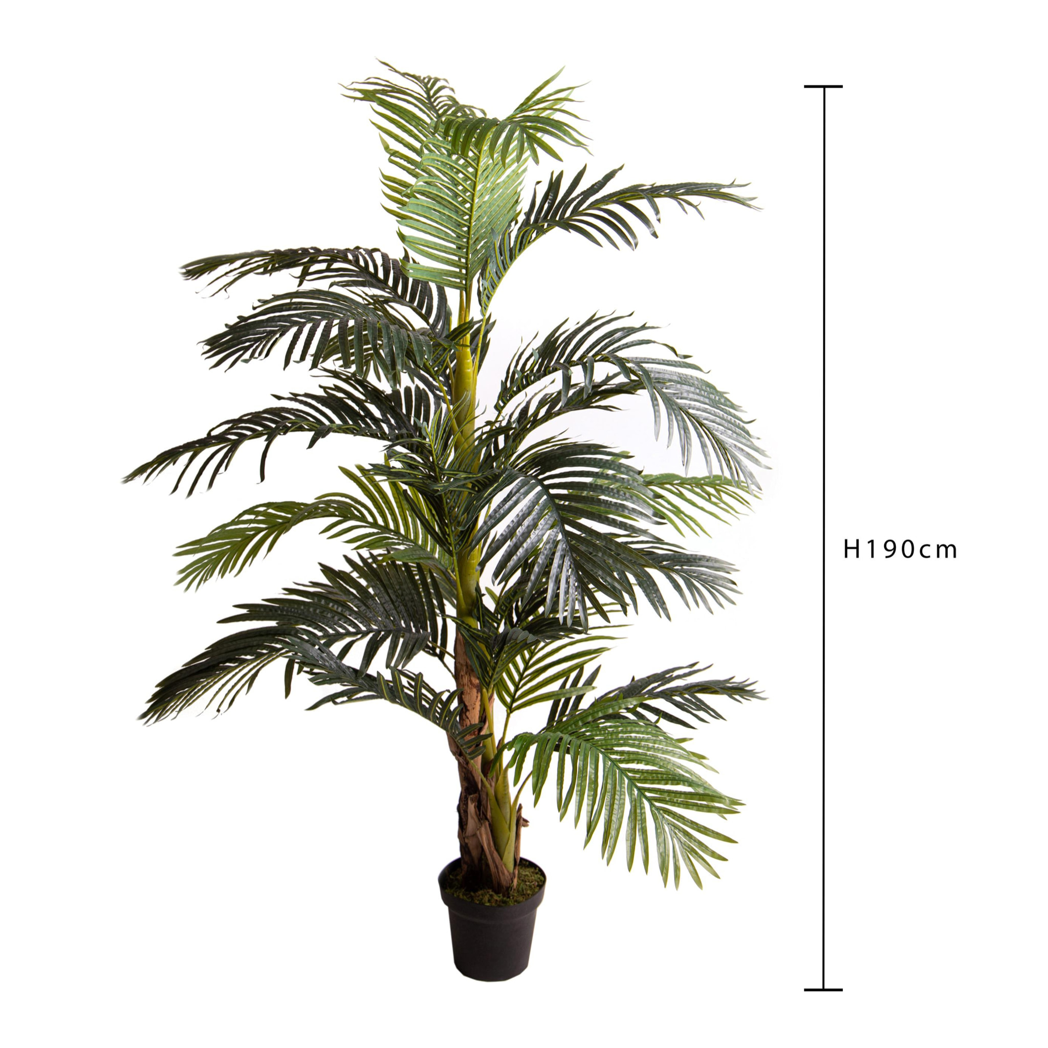 Areca Con Vaso H.190 Cm - Pezzi 1 - 100X190X100cm - Colore: Dorato - Bianchi Dino - Piante Artificiali