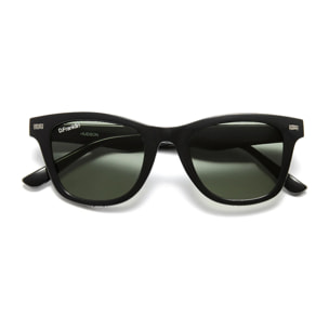 Gafas De Sol D. Franklin Hudson