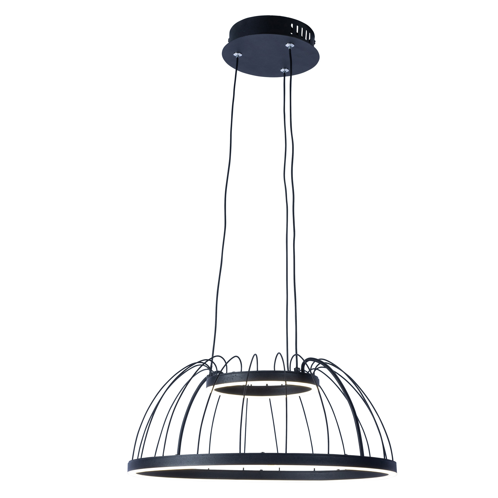 FORLIGHT Colgante Cercle LED 24W Blanco Neutro - 4000K Negro para Interior de Techo en Comedor, Salón, Cocina