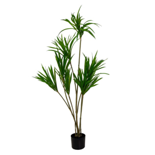 Pianta artificiale Vacchetti in plastica dracena marginata cm h130