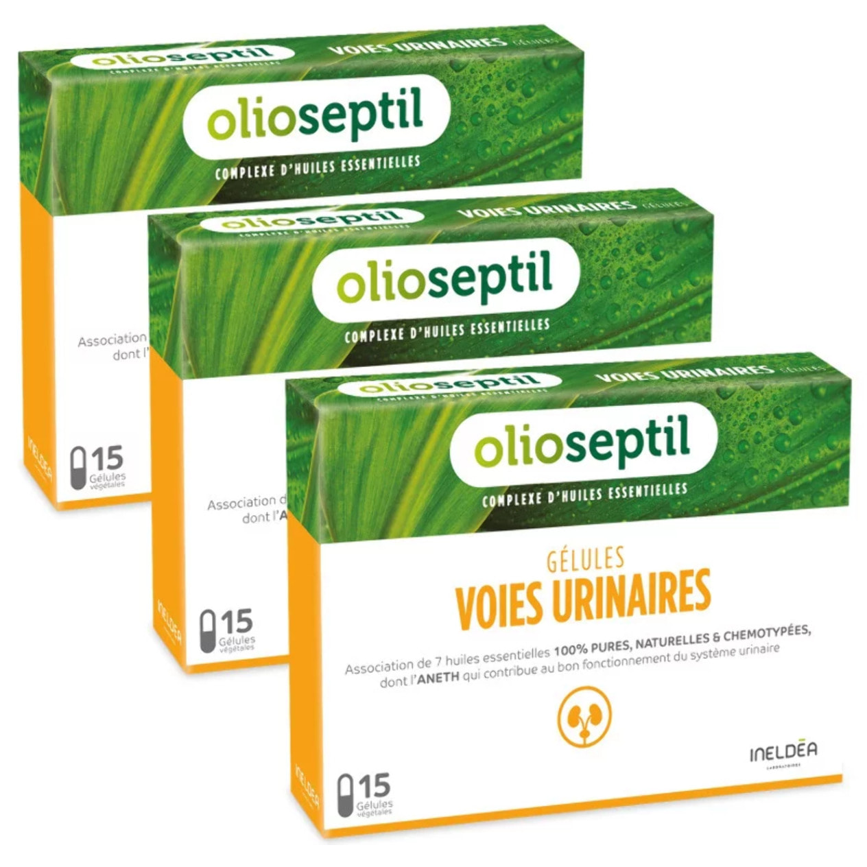 OLIOSEPTIL - Gélules Voies Urinaires - Assainit le système Urinaire & Favorise l'élimination rénale de l'eau - Complexe de 7 Huiles Essentielles Pures et Chémotypées - Gélules Végétales - Lot de 3