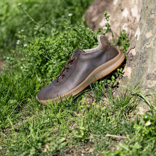 Zapatos N5434 ARIZONA STONE/OROEL color Stone