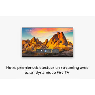 Passerelle multimédia AMAZON Fire TV Stick 4K max 2024