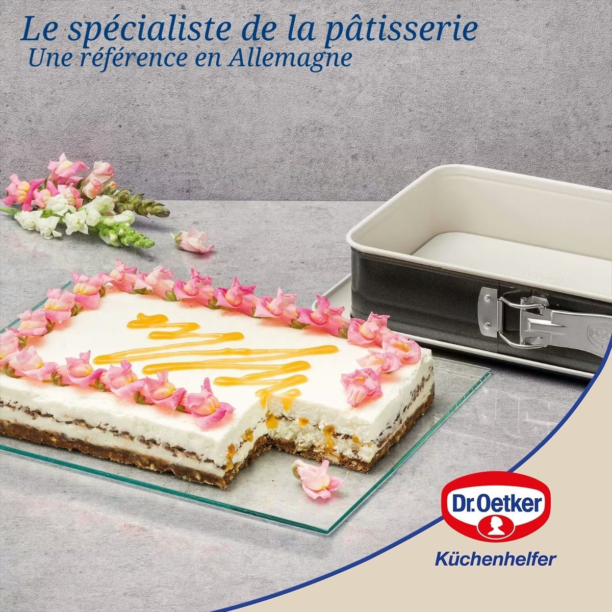 Ensemble de 2 Moules à gâteau céramique et plat four 28 x 18 cm Dr Oetker Back Trend