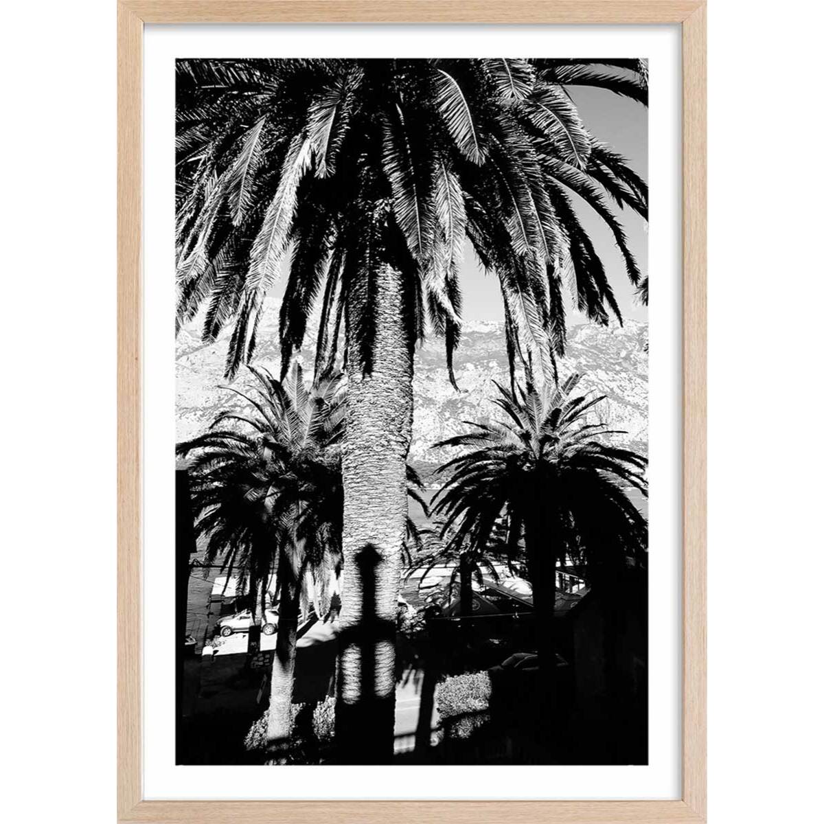 Affiche noir et blanc palmiers monténégro Affiche + cadre en bois - Chêne