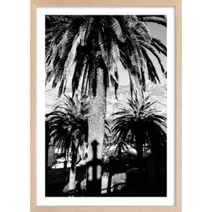 Affiche noir et blanc palmiers monténégro Affiche + cadre en bois - Chêne