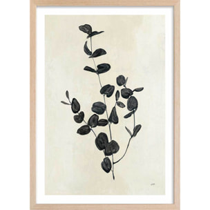 Affiche fleurs Black magic Affiche + cadre en bois - Chêne