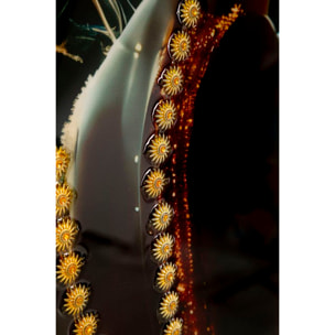 STAMPA DECORATA SU TELA LACCATA C/CORNICE ILLUMY -A- CM 62X3,5
X92